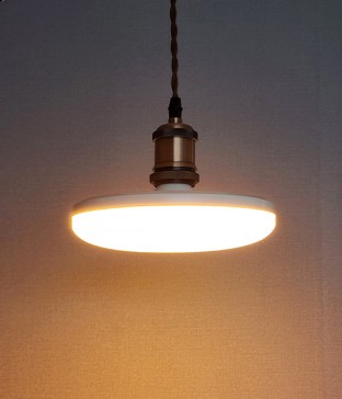 쥬프 고성능 해충 방지 램프 LED 30W